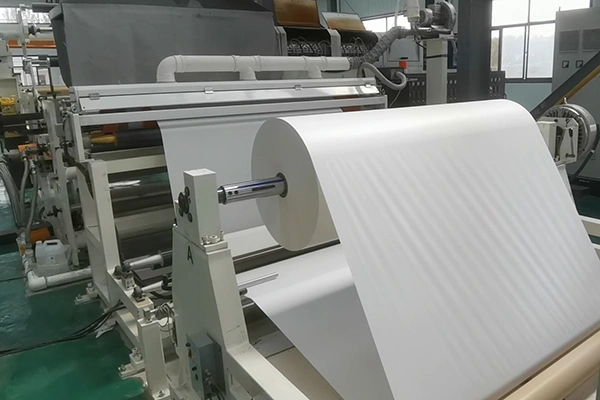 Profil de la société