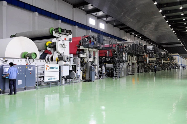 Profil de la société