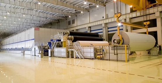 Profil de la société