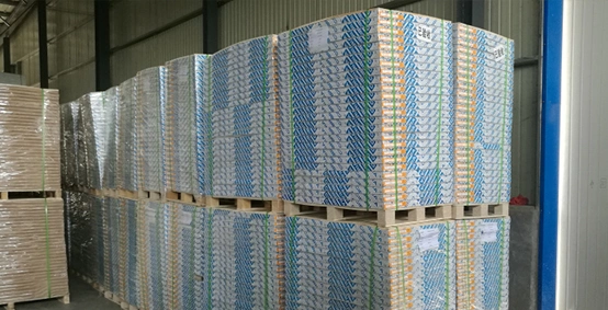 Profil de la société