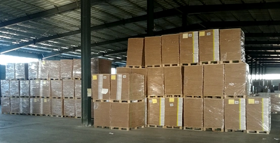 Profil de la société