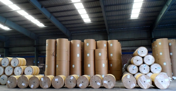 Emballage et Expédition